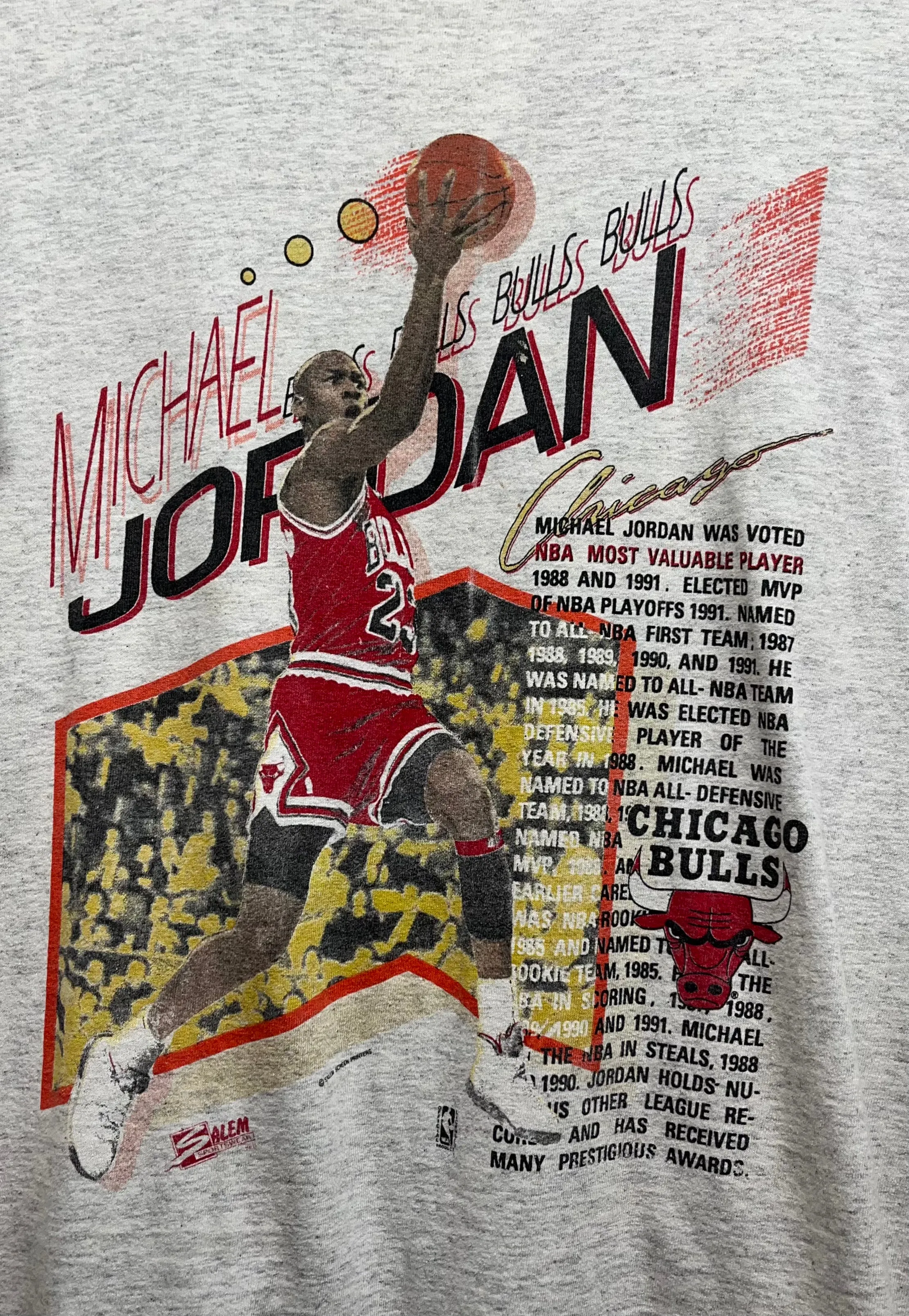 1991 Michael Jordan Chicago Bulls Salem Sportswear T-Shirt: M