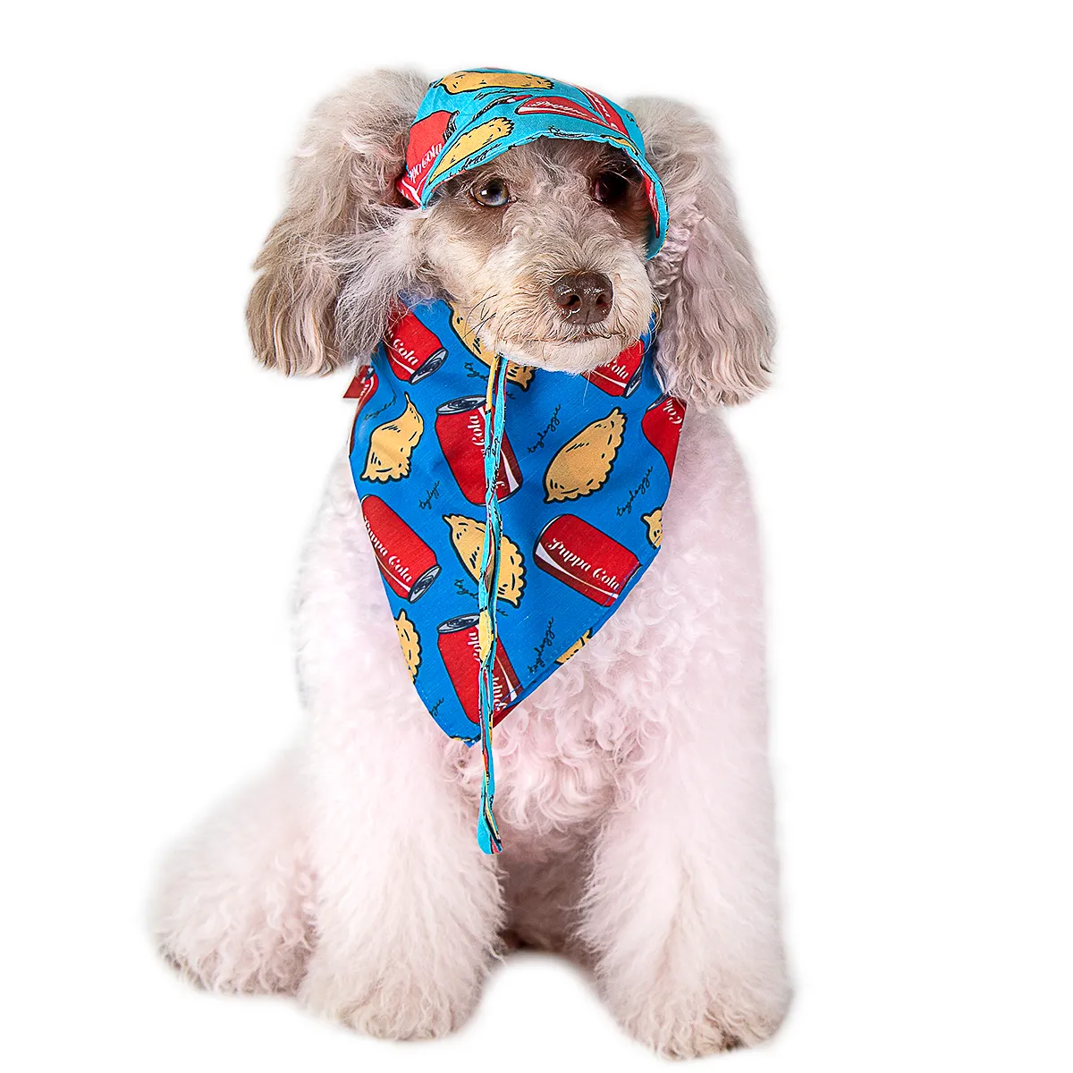 Fashionable & Protective Pet Cap - Keep Your Furry Friend Safe in the Sun