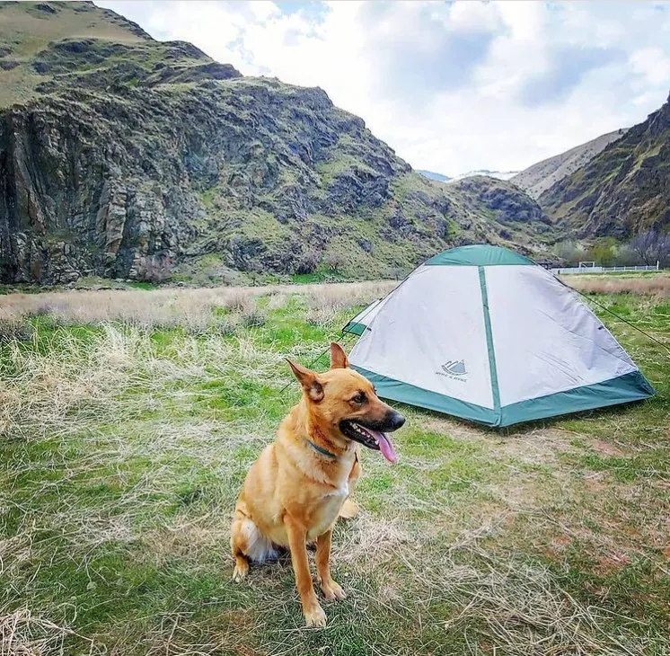 Yosemite 1 Person Backpacking Tent with Footprint